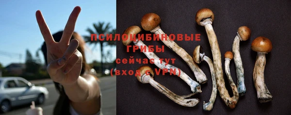 MDMA Premium VHQ Белокуриха