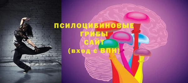 прущие грибы Белоозёрский