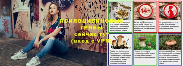 прущие грибы Белоозёрский