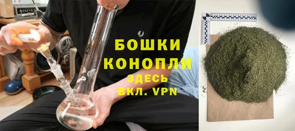 прущие грибы Белоозёрский