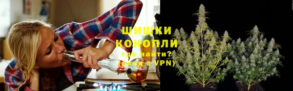 прущие грибы Белоозёрский